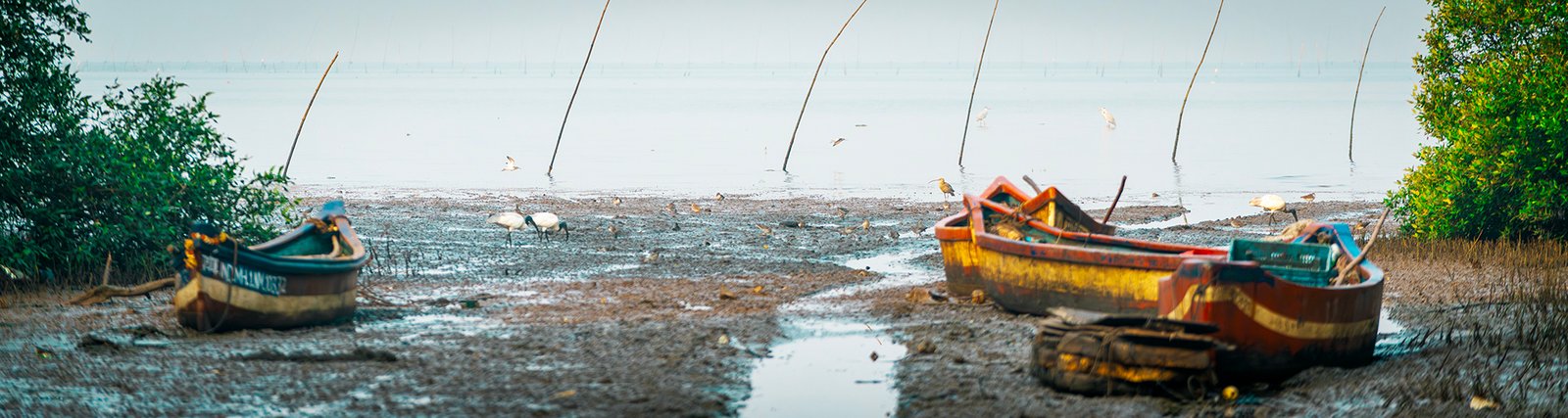 AREBEAN SEA NEAR T S CHANAKYA LAKE